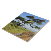 ナクル湖初期の,土道とアカシアの木 タイル (側面)