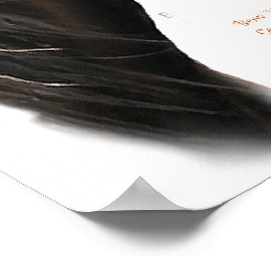 ナグ1 ポスター (角)