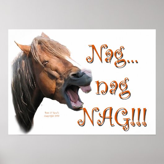 ナグ1 ポスター (正面)