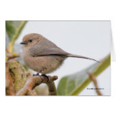 ナシの木にかわいいソングバード (正面横)