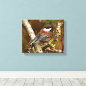 ナシの木にかわいい栗の《鳥》アメリカゴガラ キャンバスプリント (インサイチュ (ウッドフロア))