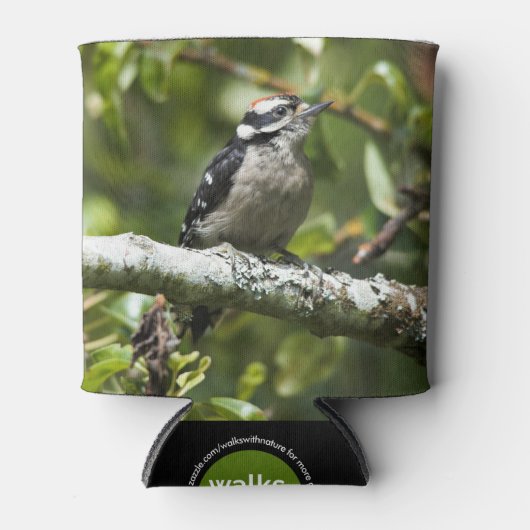 ナシの木にかわいい若いダウンの木ペッカー 缶クーラー (正面)