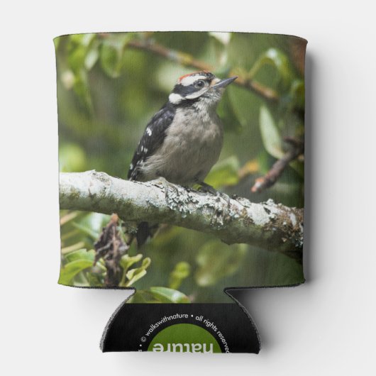 ナシの木にかわいい若いダウンの木ペッカー 缶クーラー (裏面)