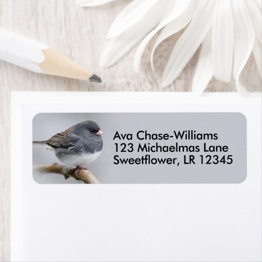 ナシの木に黒い目のユンコのスズメの鳴鳥 ラベル (インサイチュ)