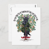 ナシの木のスコットランド ポストカード (正面/裏面)