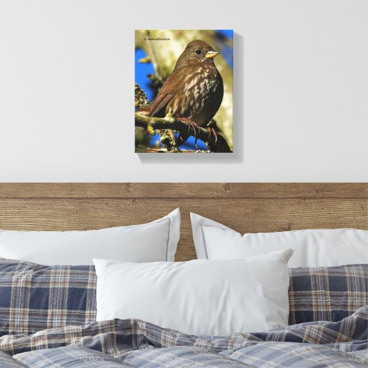 ナシの木の美しいキツネスズメ キャンバスプリント (インサイチュ (寝室))