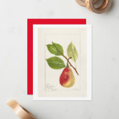 ナシの枝(Pyrus Communis)(1893)小 ノートカード (正面/裏面インサイチュ)