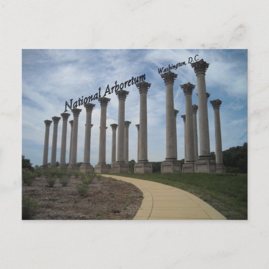 ナショナルアボレタムワシントンDC ポストカード (正面)