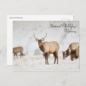 ナショナルエルクレフュージワイオミンハガキ ポストカード (正面/裏面)