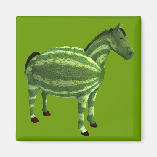 ナショナルスイカの日馬 マグネット (正面)