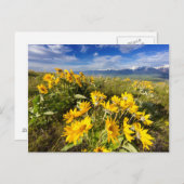 ナショナルバイソン山脈 ポストカード (正面/裏面)