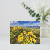 ナショナルバイソン山脈 ポストカード (スタンド正面)