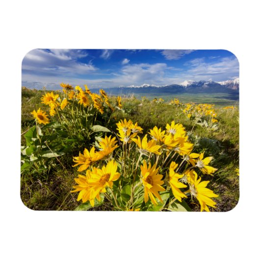 ナショナルバイソン山脈 マグネット (横)