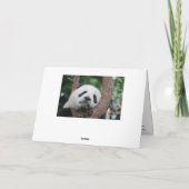 ナショナルパンダの日3月16日アニマルホリデーカード シーズンカード (裏面)