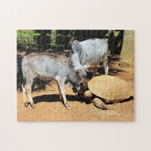 ナショナルランクアトルトデイパズル ジグソーパズル (横)