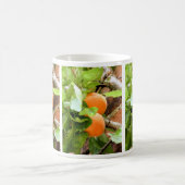 ナシ コーヒーマグカップ (中央)