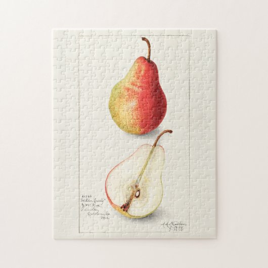 ナシ(Pyrus Communis)フルーツウォーター絵画カラー ジグソーパズル (縦)