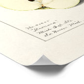 ナシ(Pyrus Communis)フルーツウォーター絵画カラー ポスター (角)