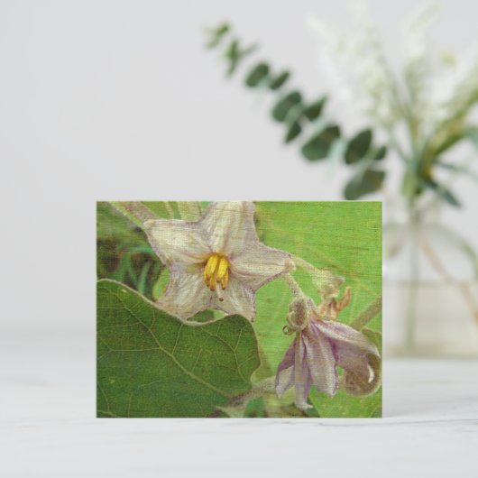 ナスの花 ポストカード (スタンド正面)