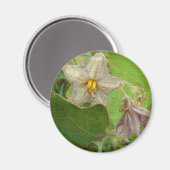 ナスの花 マグネット (正面/裏面)