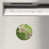 ナスの花 マグネット (インサイチュ (食洗機))