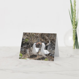 ナスカの鳥の友情グリーティングカード カード