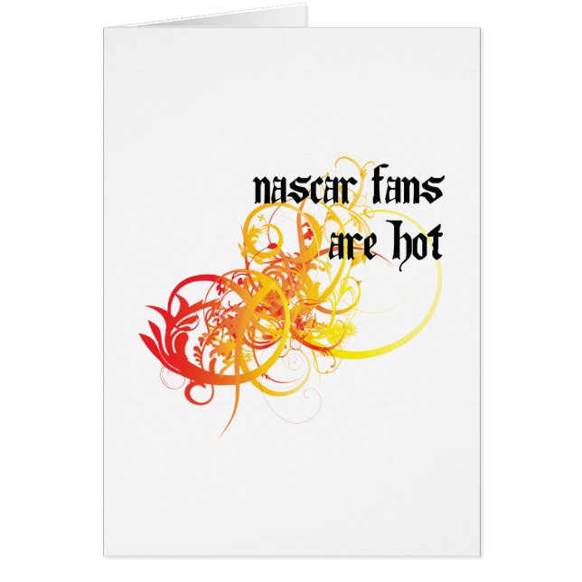 ナスカーファンは熱いです (正面)