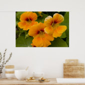 ナスタウム ポスター (キッチン)