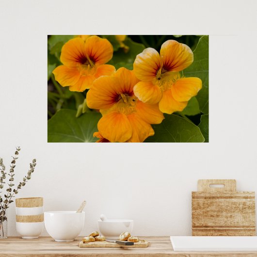 ナスタウム ポスター (キッチン)