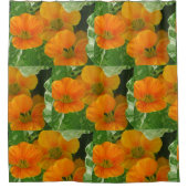 ナスタウ白熱［赤熱］光を放つム シャワーカーテン (正面)