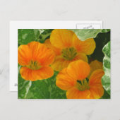 ナスタウ白熱［赤熱］光を放つム ポストカード (正面/裏面)