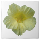 ナスタジウムかわいらしタイル タイル (正面)