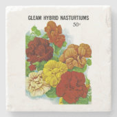 ナスタスティム ストーンコースター (正面)