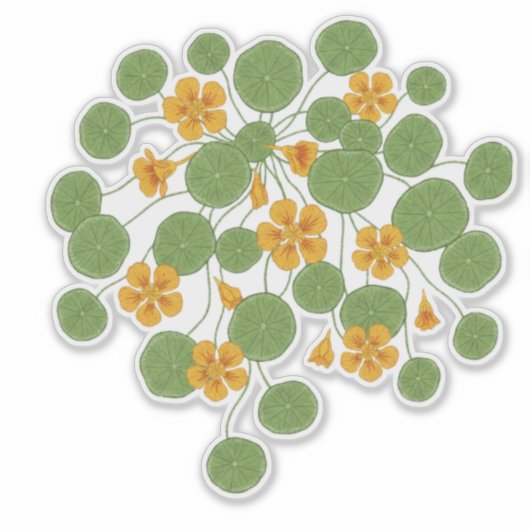 ナスタチウムの花イラスト ビンテージ風なチューリップ シール (正面)