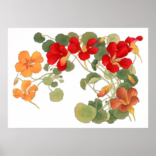 ナスタチウムの花、日本の浮世絵アート ポスター (正面)