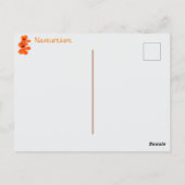 ナスタチウム花写真植物学 ポストカード (裏面)