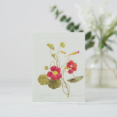 ナスタチウム ポストカード (スタンド正面)