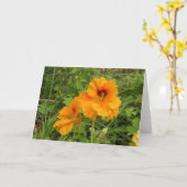 ナスターチウム カード (黄色い花)