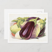ナス植物性イラストレーション ポストカード (正面/裏面)