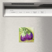 ナス磁石2個 マグネット (インサイチュ (食洗機))