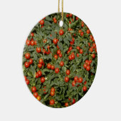 ナス科の植物のPseudocapsicum赤い(タマサンゴ)の流れ セラミックオーナメント (右)
