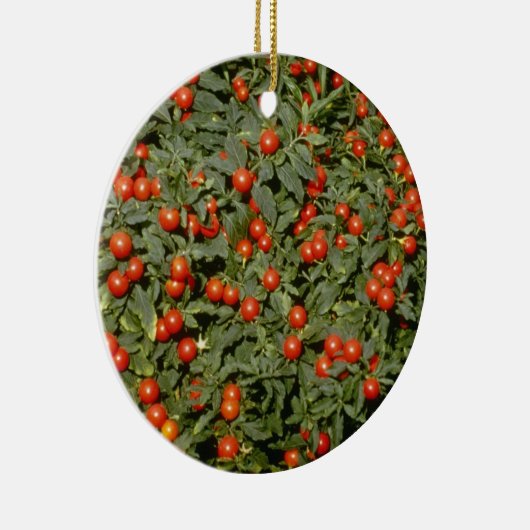 ナス科の植物のPseudocapsicum赤い(タマサンゴ)の流れ セラミックオーナメント (右)