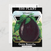 ナス種子パケット ポストカード (正面/裏面)