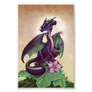 ナス・ドラゴン4x6プリント フォトプリント