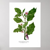 ナス ポスター (正面)