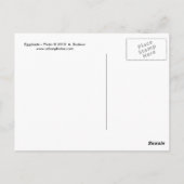 ナス ポストカード (裏面)