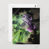 ナス&ラディッシュテンプレートはがき ポストカード (正面/裏面)