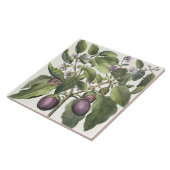 ナス: 「HorからのMelanzanaのfructuのpallido、 タイル (側面)