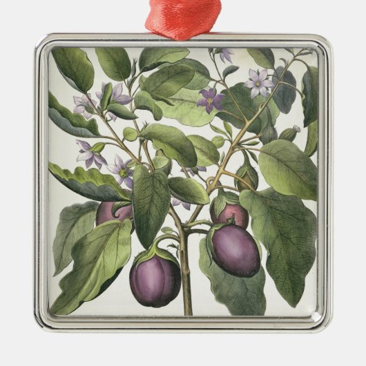 ナス: 「HorからのMelanzanaのfructuのpallido、 メタルオーナメント (正面)