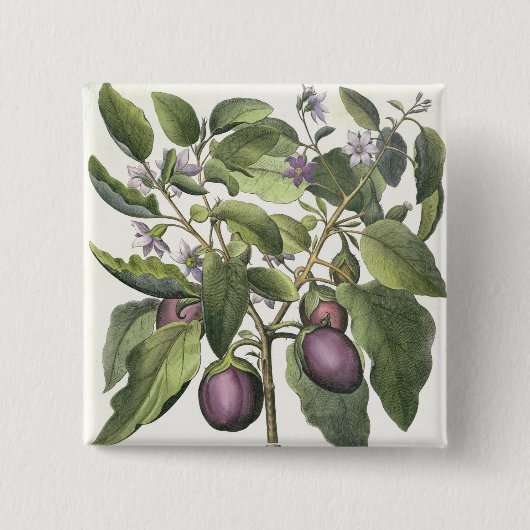 ナス: 「HorからのMelanzanaのfructuのpallido、 缶バッジ (正面)